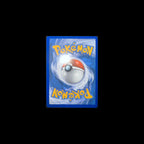 Zekrom BWR 172 Cards Game Collect
