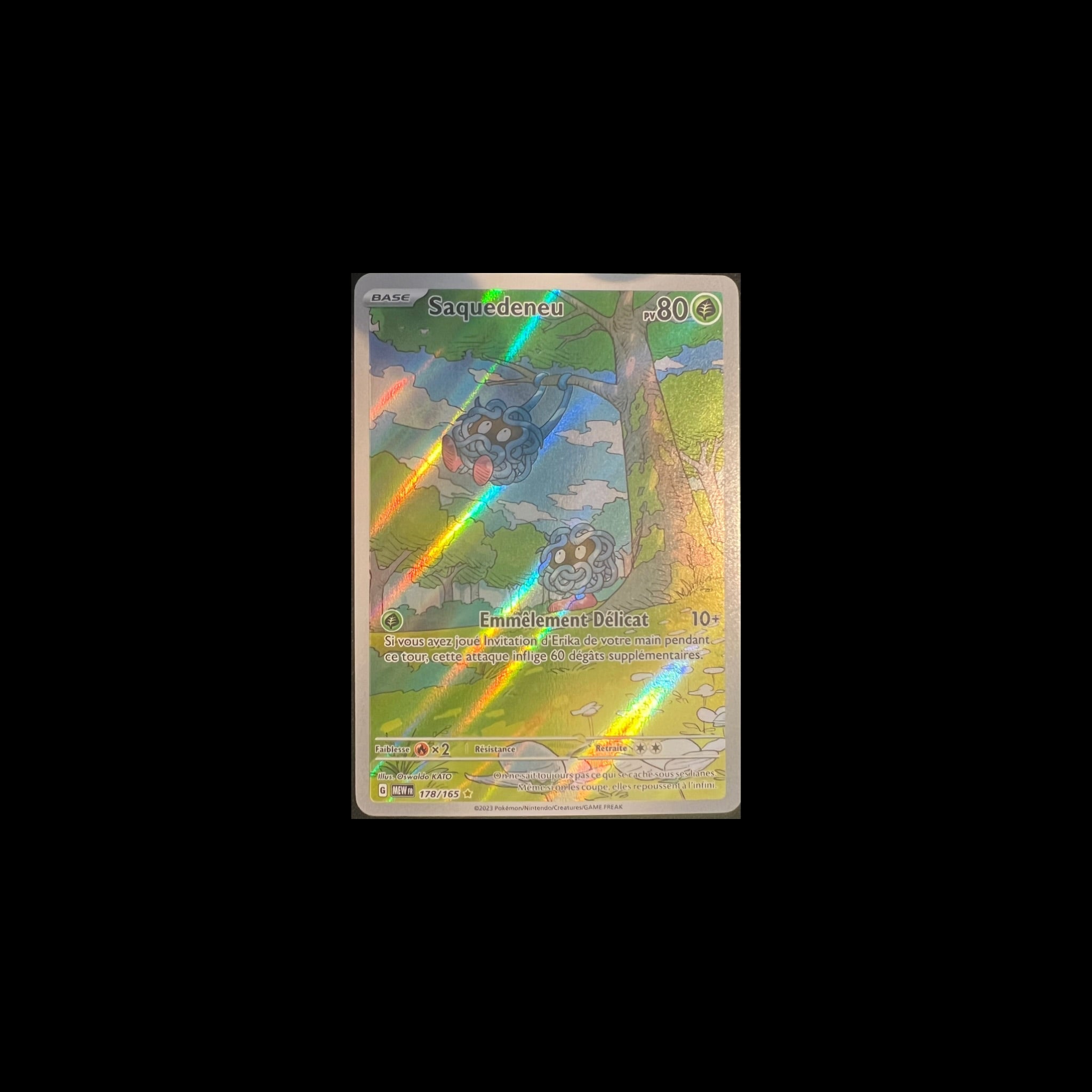 Saquedeneu 178/165 AR 151 Cards Game Collect